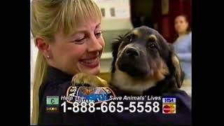 2005 ASPCA commercial [upl. by Nesila]