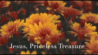 239 SDA Hymn  Jesus Priceless Treasure Singing w Lyrics [upl. by Karla133]