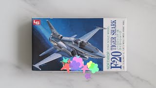 F20 Tiger Shark model kit review 1144 [upl. by Anaeda]