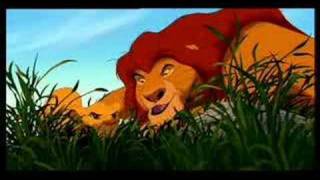 Lion king  Morning report swedish [upl. by Harrad]