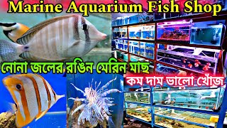 নোনা জলের রঙিন মেরিন মাছ 🐠 Marine Aquarium Fish Price  Marine Salt Water Fish  Marine Aquarium [upl. by Sigmund]