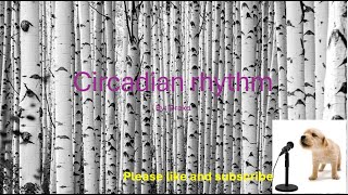 Circadian rhythm By Drake Lyrics [upl. by Suertemed999]