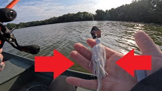 Chatterbait fishing for early fall bass seasonal change [upl. by Ahsilram894]