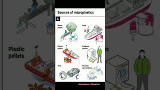 source microplastic science study facts biology viralvideo trending shorts short video [upl. by Ennaylil]