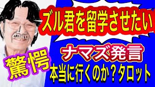 【タロット占い】ズル君を‼️留学させたい‼️トルコ旅行の会見で突如発言の真意は⁉️ [upl. by Tepper766]