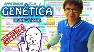 BIOLOGÍA FREE   GENETICA I  LEYES DE MENDEL 👉😍🌿 [upl. by Itirp374]