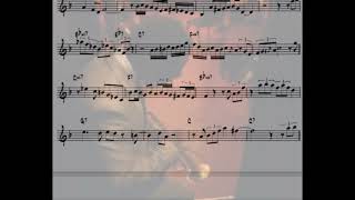 Roy Hargrove  September in the Rain  Solo Transcription  Trumpet Bb [upl. by Corrine826]