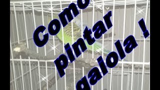 Como pintar gaiola   Blog Meus Psitacídeos [upl. by Dittman]