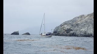 Sailing Solo to Little Harbor Catalina Island August 2018  Dana 24 [upl. by Nekciv]