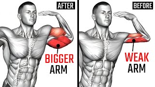 8 Best Biceps and Triceps Exercises for Bigger Arms AT GYM [upl. by Borlase]