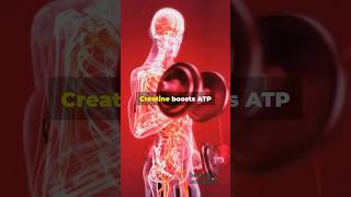 Facts you NEED to know about taking Creatine healthyaesthetics creatine [upl. by Adnik]