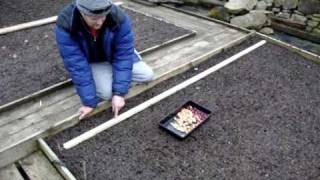 Allotment Diary  Planting out Onion Sets  How to sow Onion Sets in a raised bed easily [upl. by Ruckman]