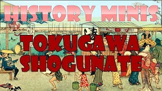 History Mini 1  Tokugawa Shogunate [upl. by Atteyek]