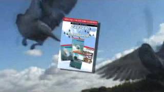 Pigeon Racing Secrets of Champions 1234 Collection [upl. by Nosak]