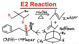 E2 Elimination Reaction  Mechanism Zaitsev and Hoffman E and Z Beta Hydrogen Organic Chemistry [upl. by Arvo666]