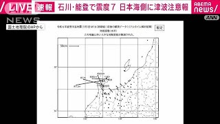 石川県「輪島」で約13m西に動く大きな地殻変動 電子基準点のデータ解析 国土地理院2024年1月2日 [upl. by Vizza]