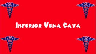 Pronounce Medical Words ― Inferior Vena Cava [upl. by Adnirim]