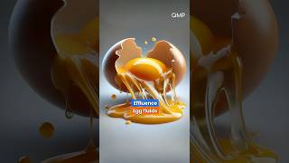 GRE Word Effluence Egg fluids [upl. by Malda]