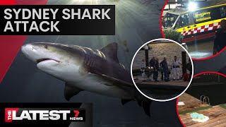 Woman mauled by shark in Sydney Harbour  7 News Australia [upl. by Austreng]