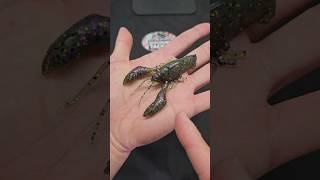 Megabass Sleeper Craw Unboxing fishing bassfishing fishingvideo [upl. by Eaner]