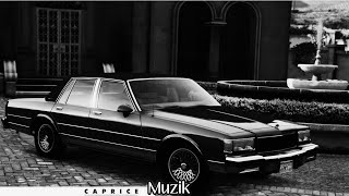 Cruising in GTA Online  Bumping Caprice Muzik 🕶️ [upl. by Crofton]