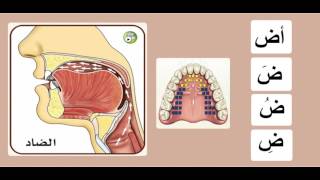 Practicing the letter ضاد [upl. by Lybis117]