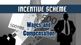 20 Incentives  Incentive Scheme  Scanlon Plan  Wages and Compensation  Human Resources [upl. by Ssej974]