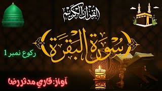 Surah AlBaqarah First Part  Beautiful Quran Recitation by Qari Mudasir Raza [upl. by Ajed371]