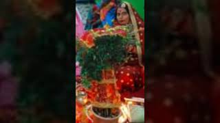 Tulsi vivah viralvideos shortsviral trendingshorts ytshorts viralreels trendingshorts [upl. by Arielle]