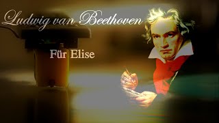 Beethoven Für Elise  Bagatelle No 25 in A Minor  2 Hours Version [upl. by Yt654]