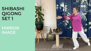 Shibashi Qigong Set 1 [upl. by Dawes]