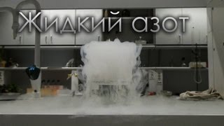 Жидкий азот  Подборка экспериментов с жидким азотом Физика Химия [upl. by Udelle]