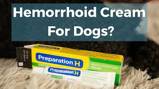 Home Remedies Hemorrhoid Cream for Dogs [upl. by Farman]