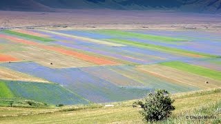 CASTELLUCCIO DI NORCIA La FIORITURA  Flower fields  Reportage  Full HD [upl. by Mailiw]