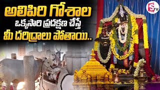 Tirupati Alipiri Go Pradakshana Mandir  Alipiri Goshala Tour  Tirumala Tirupati History [upl. by Layap]