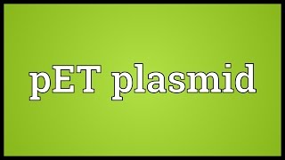 PET plasmid Meaning [upl. by Brinn]