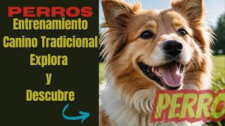 Desafía tus creencias adiestramiento canino tradicional revelado [upl. by Angus304]