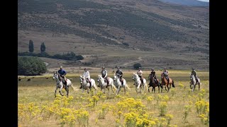 Gredos Mountains Trek  SPAIN 2024 [upl. by Ayatnahs820]