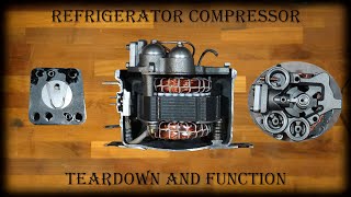 Kühlschrank Kompressor zerlegen und Funktionsweise erklärt [upl. by Kohn]
