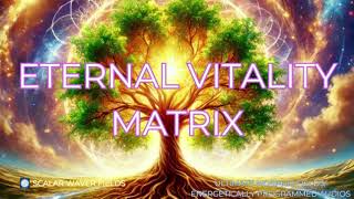 Eternal Vitality Matrix PREMIUM SUPERCHARGED ULTRA POWERFUL Energetically Programmed [upl. by Goldie973]