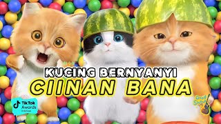 LAGU MINANG CIINAN BANA FAUZANA VERSI KUCING LUCU TERBARU [upl. by Alleroif239]