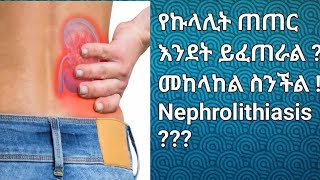 What is Nephrolithiasis  የኩላሊት ጠጠር ምንድን ነው  መከላከል ስንችል [upl. by Htiekal]