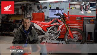 2020 Honda CRF250L Oil Change [upl. by Terrab]