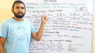 Induced MutationChemical amp Physical MutagenCSIR NETin Hindi [upl. by Akiret]