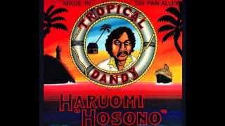 haruomi hosono  peking duck 1975 [upl. by Marvel]