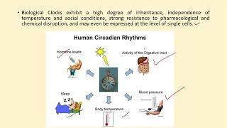 Rhythmic Behavior Pattern  Circadian Rhythm SleepWake Cycle [upl. by Stillman]