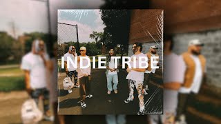 FREE indie tribe x nobigdyl Type Beat 2024  quotPURPOSE DRIVENquot [upl. by Nava]