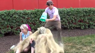 Throwing Sand On People Prank [upl. by Evante]