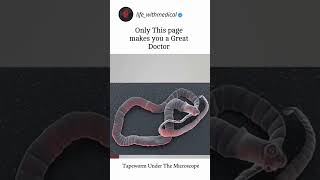 Tapeworm under the microscope doctor medical neet biology microscope tapeworm [upl. by Baerl]