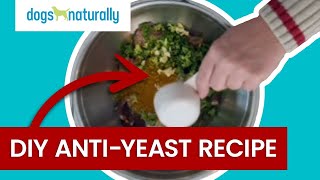 Yeasty Dog Try This DIY Yeast Diet For Dogs [upl. by Ayila437]